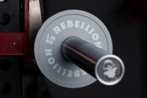 Set discuri calibrate Rebellion (Standard IPF)