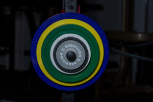 Set discuri calibrate Rebellion (Standard IPF)